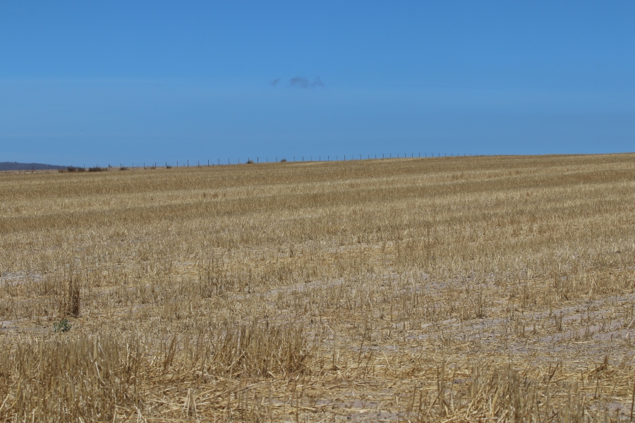 5 Bedroom Property for Sale in Darling Western Cape